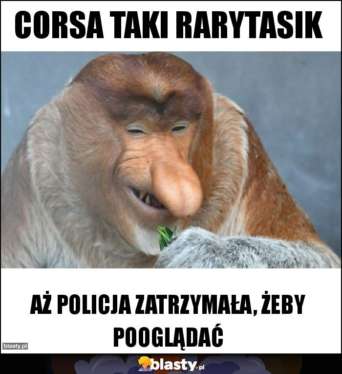 Corsa taki rarytasik