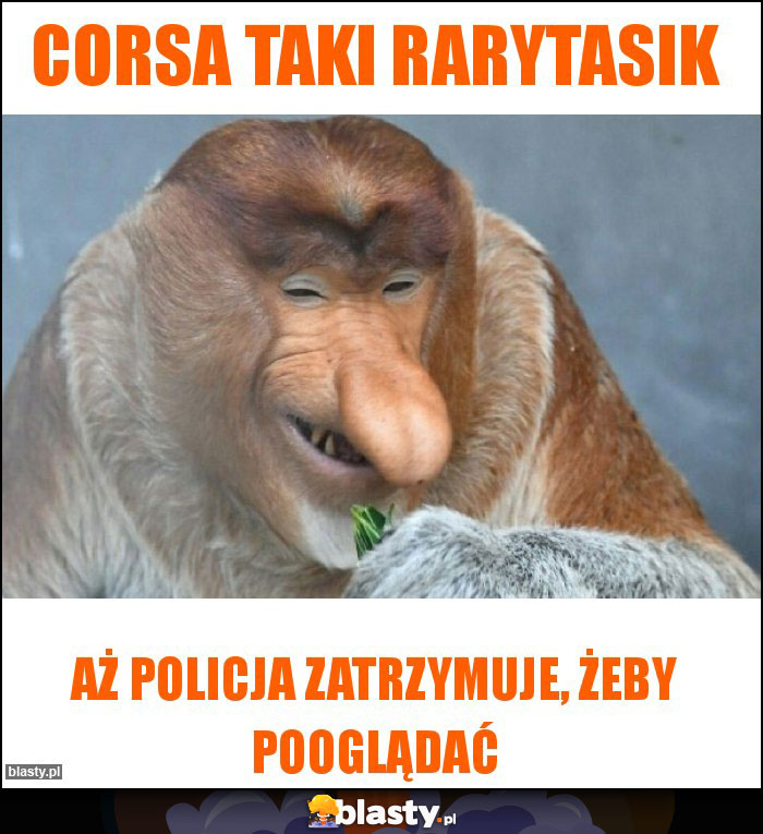 Corsa taki rarytasik