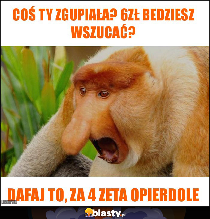 Coś ty zgupiała? 6zł bedziesz wszucać?
