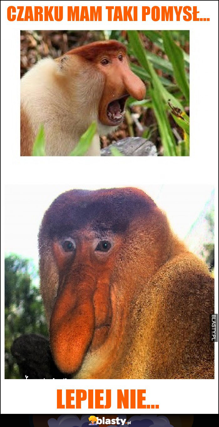 Czarku mam taki pomysł...