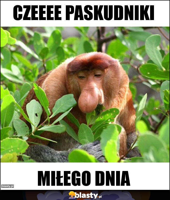Czeeee Paskudniki