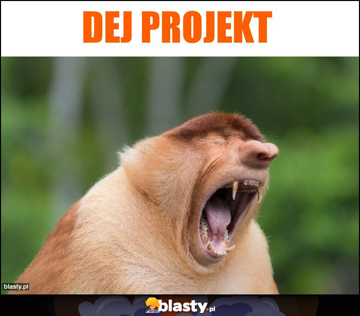 Dej projekt