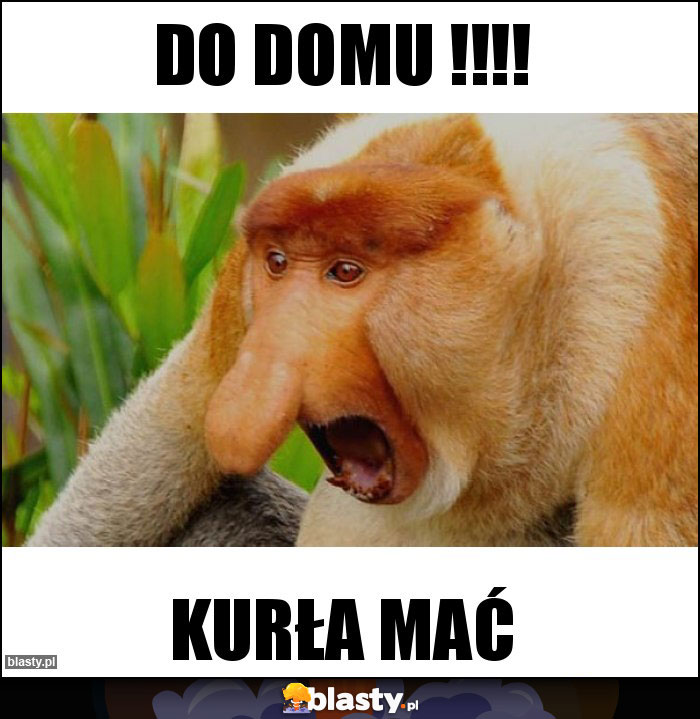 Do domu !!!!