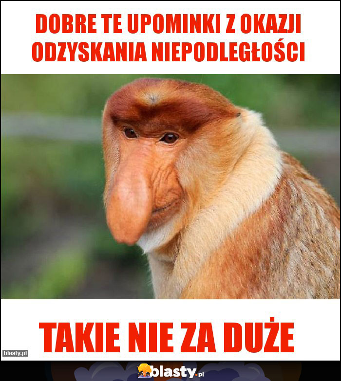 Dobre te upominki z okazji odzyskania niepodległości