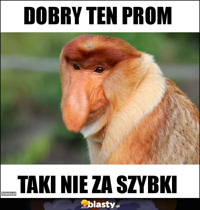 Dobry ten prom
