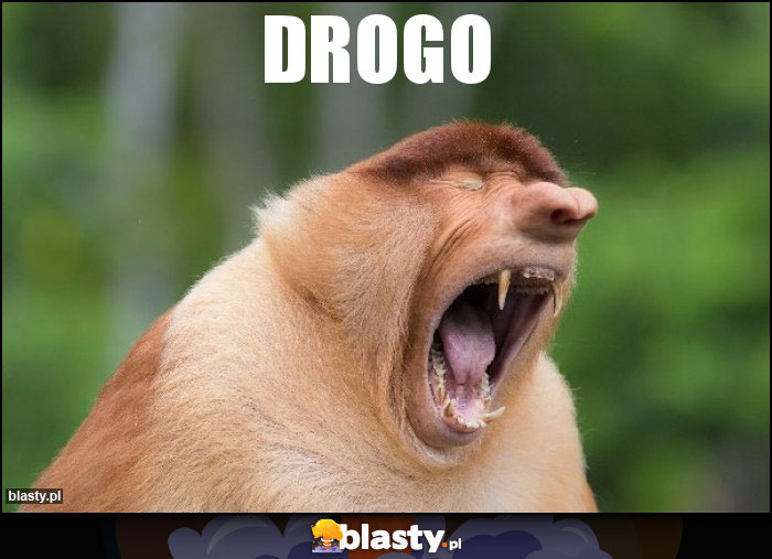 DROGO