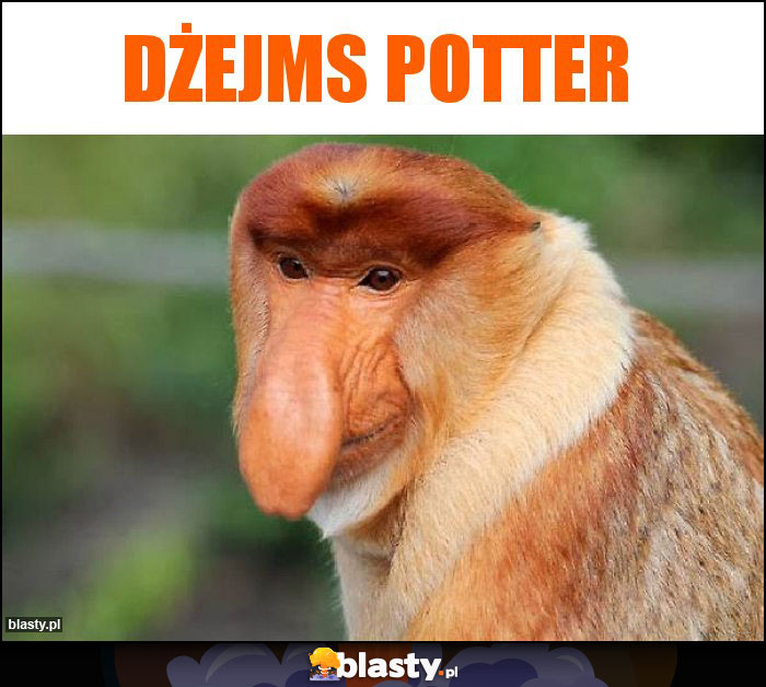 dżejms potter