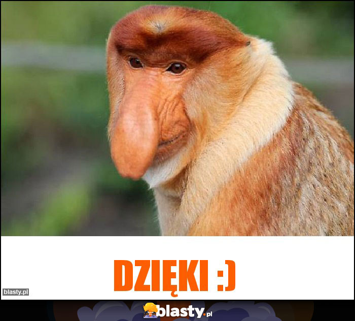 Dzięki :)