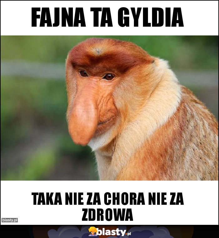 Fajna ta gyldia