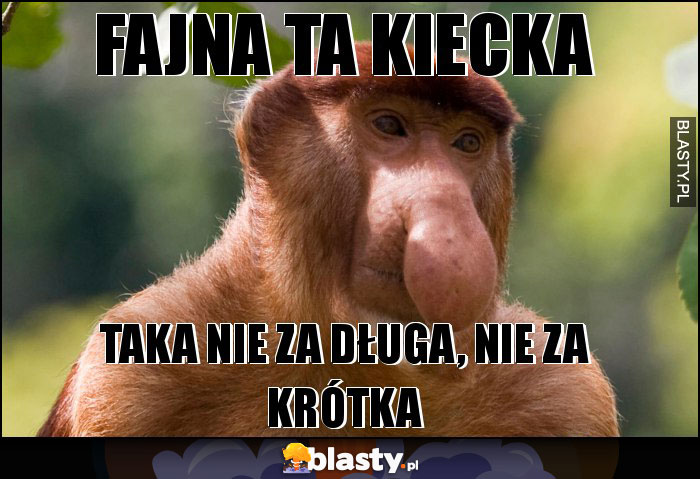 FAJNA TA KIECKA