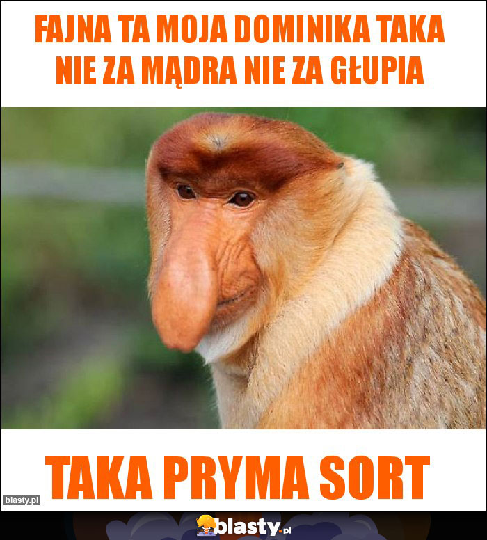 Fajna ta moja Dominika taka nie za mądra nie za głupia