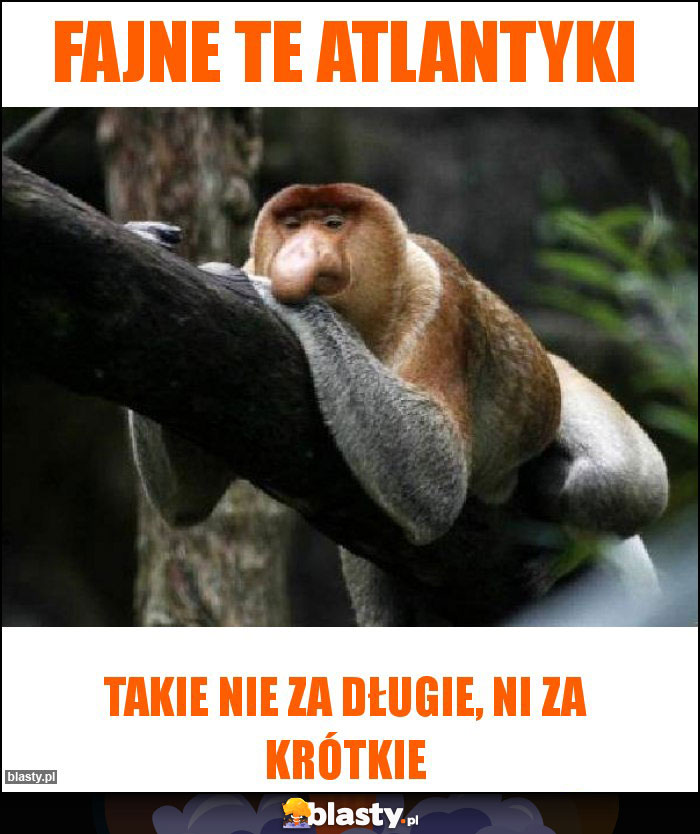 Fajne te Atlantyki