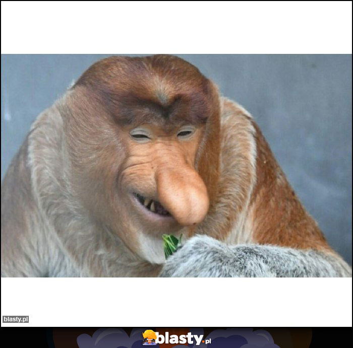 Fajny ten Sylwester