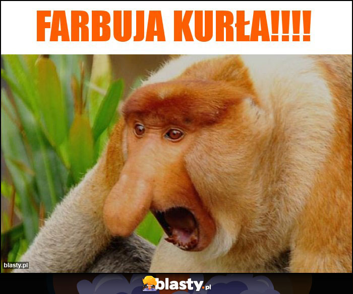 Farbuja kurła!!!!