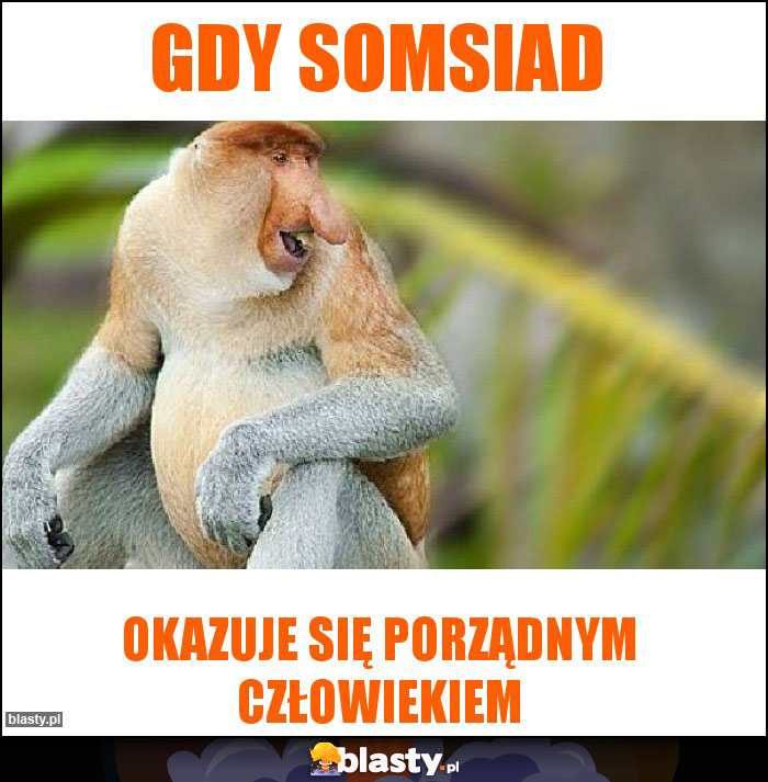 Gdy somsiad