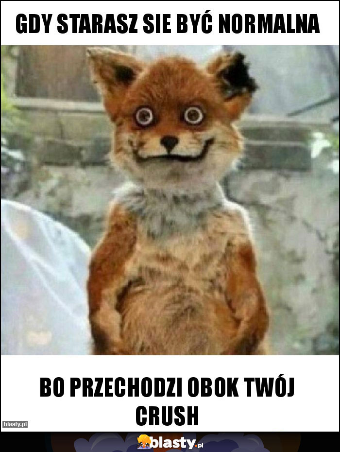 Gdy starasz sie być normalna
