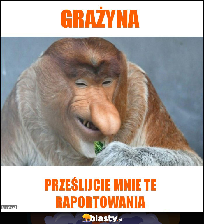 GRAŻYNA