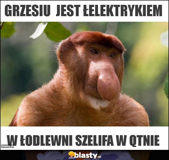Grzesiu  jest łelektrykiem