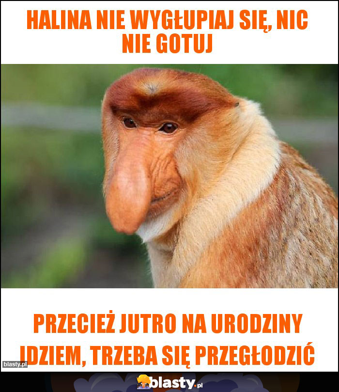 Halina nie wygłupiaj się, nic nie gotuj