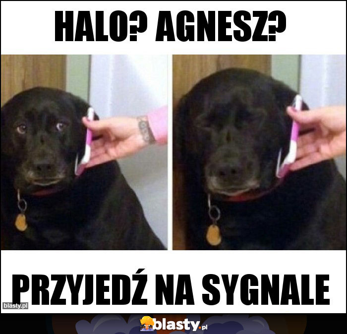 Halo? agnesz?