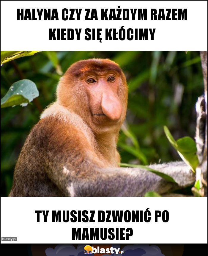 Halyna czy za każdym razem kiedy się kłócimy