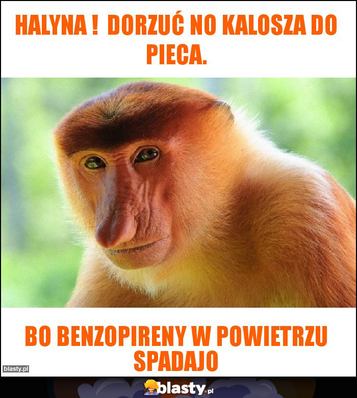 Halyna !  Dorzuć no kalosza do pieca.