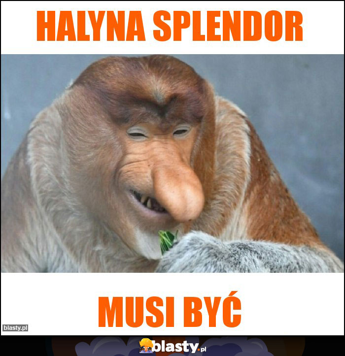 Halyna Splendor