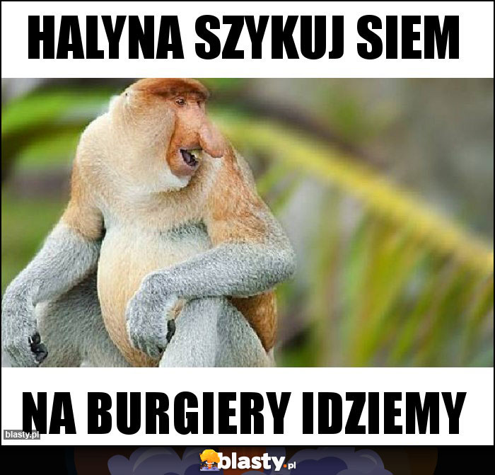 Halyna szykuj siem
