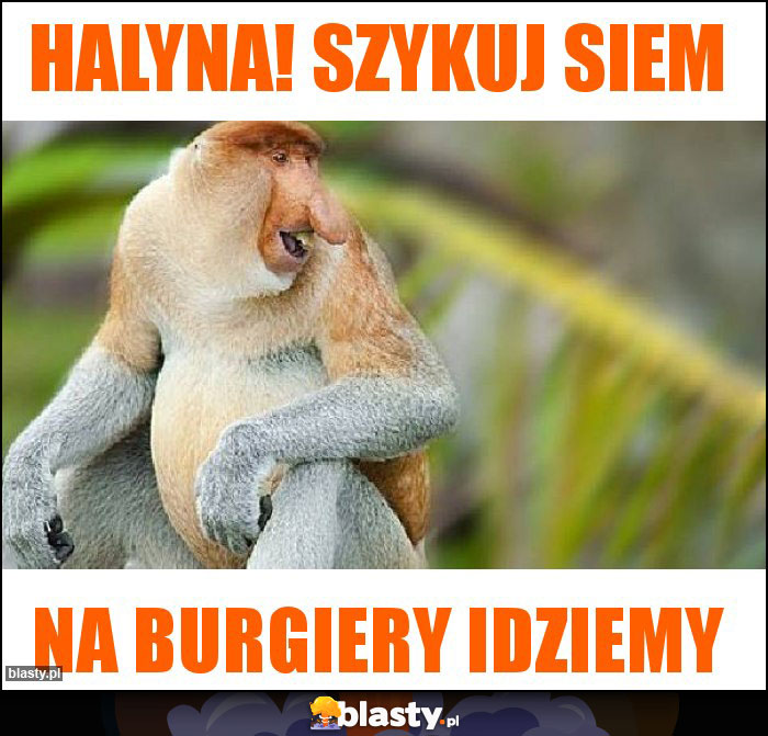 Halyna! Szykuj siem