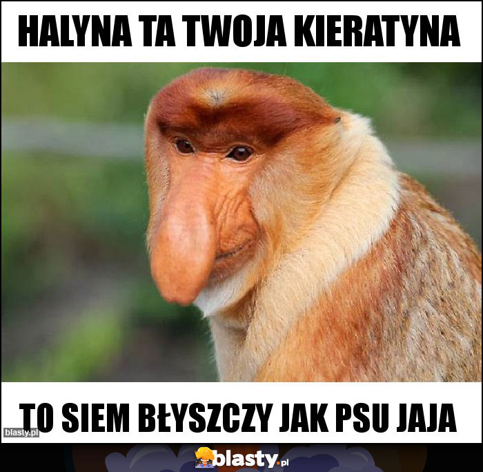 Halyna ta twoja kieratyna