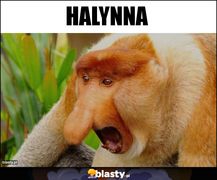 Halynna