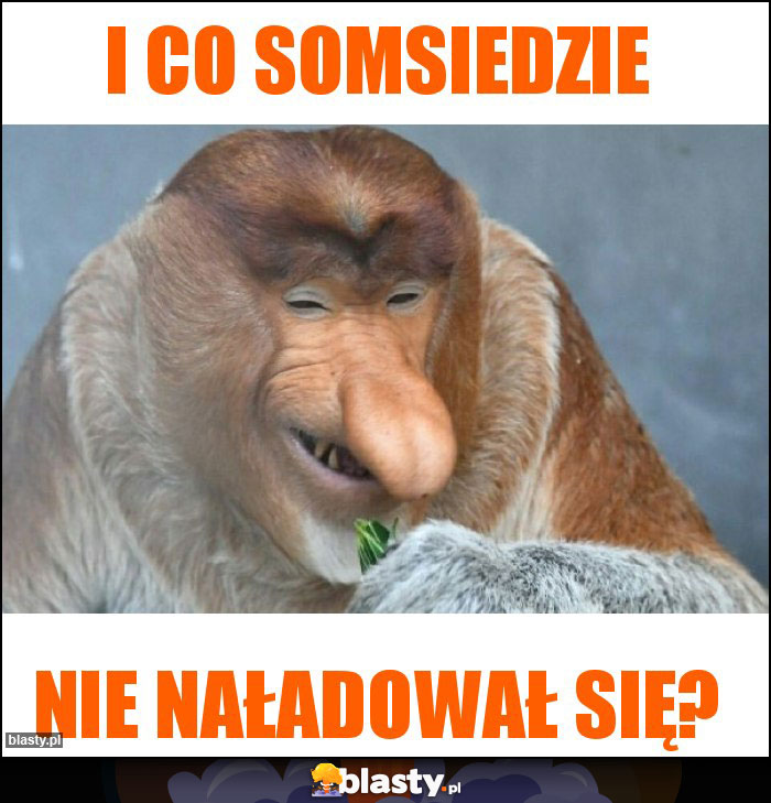 I co somsiedzie
