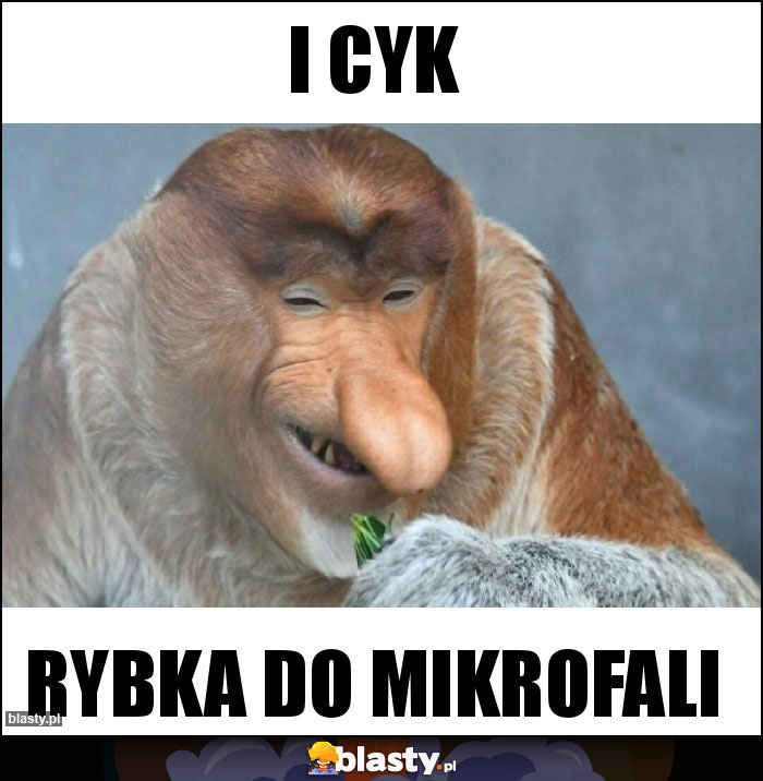 i cyk