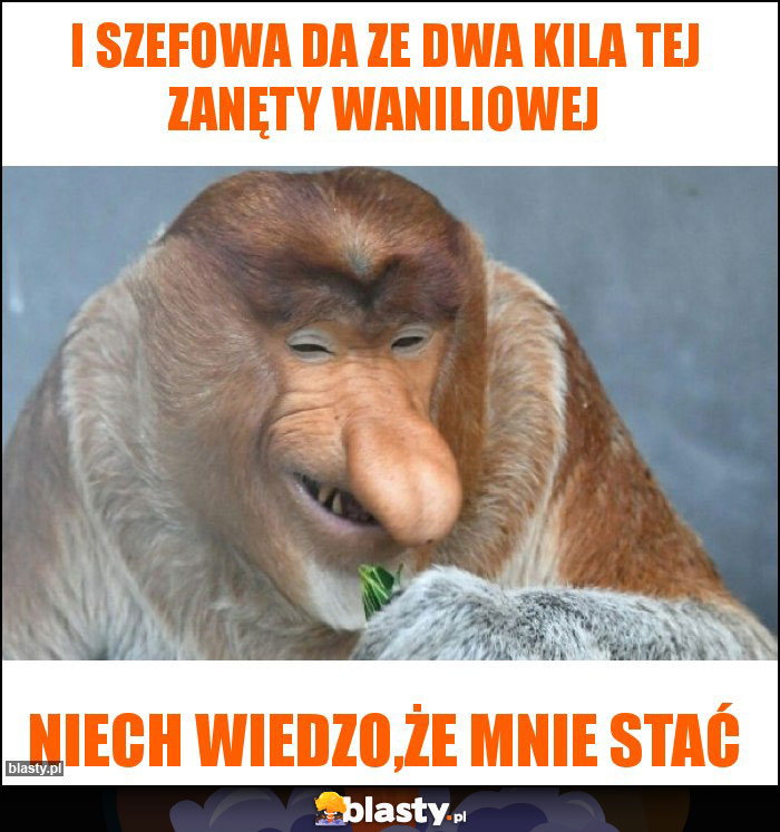 I szefowa da ze dwa kila tej zanęty waniliowej