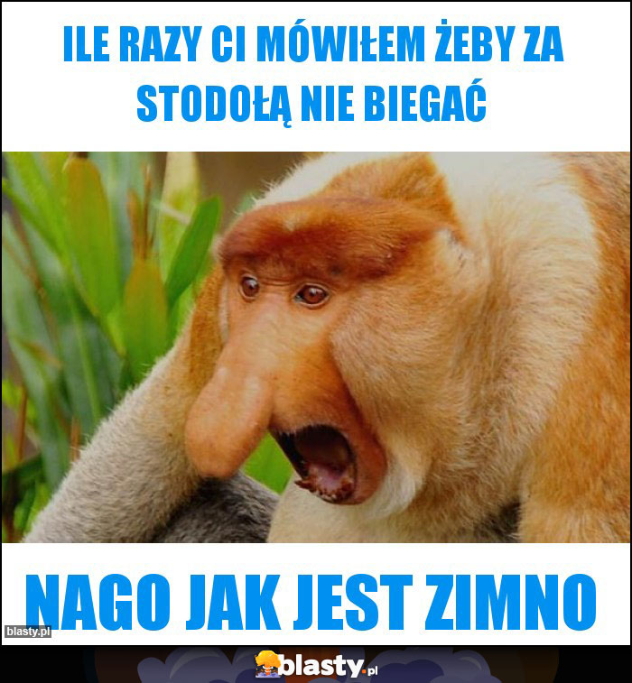 Ile razy ci mówiłem żeby za stodołą nie biegać