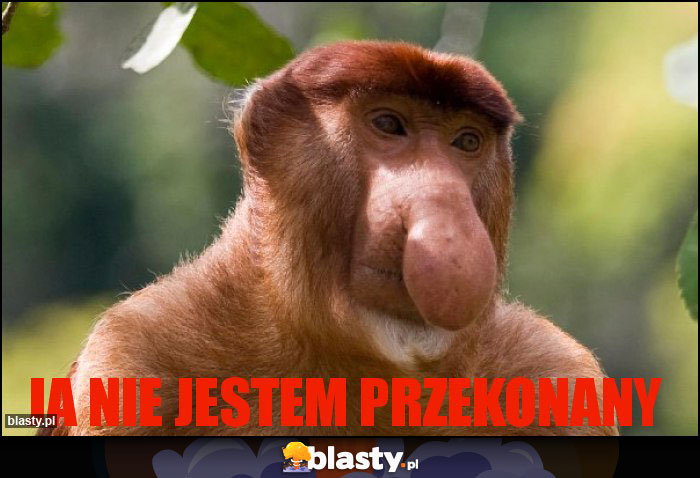 JA NIE JESTEM PRZEKONANY