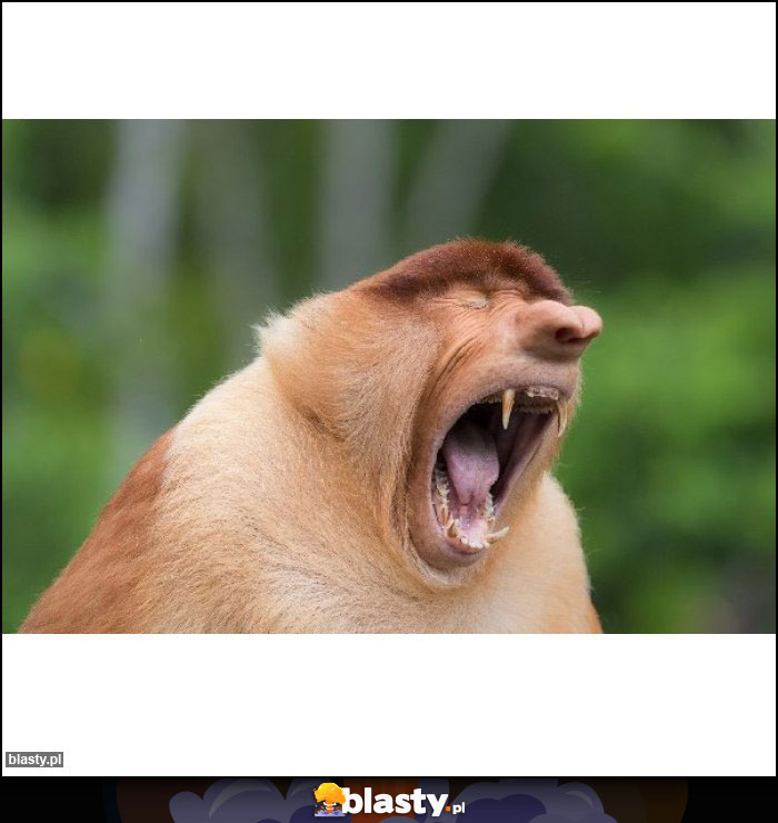 JAAAAAANEEEEEK!