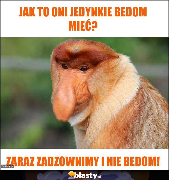 JAk to oni jedynkie bedom mieć?