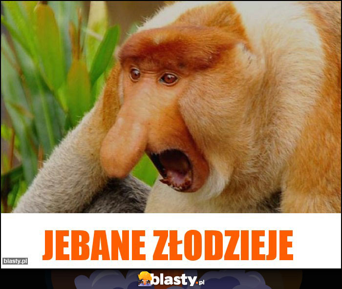 Jebane złodzieje
