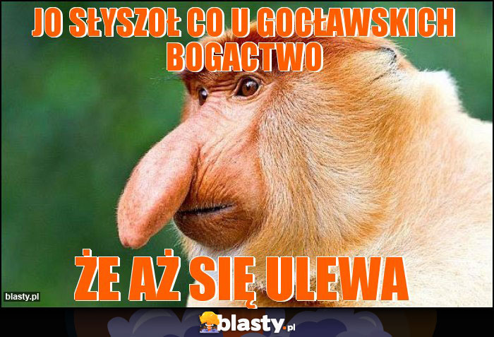 JO SŁYSZOŁ CO U GOCŁAWSKICH BOGACTWO