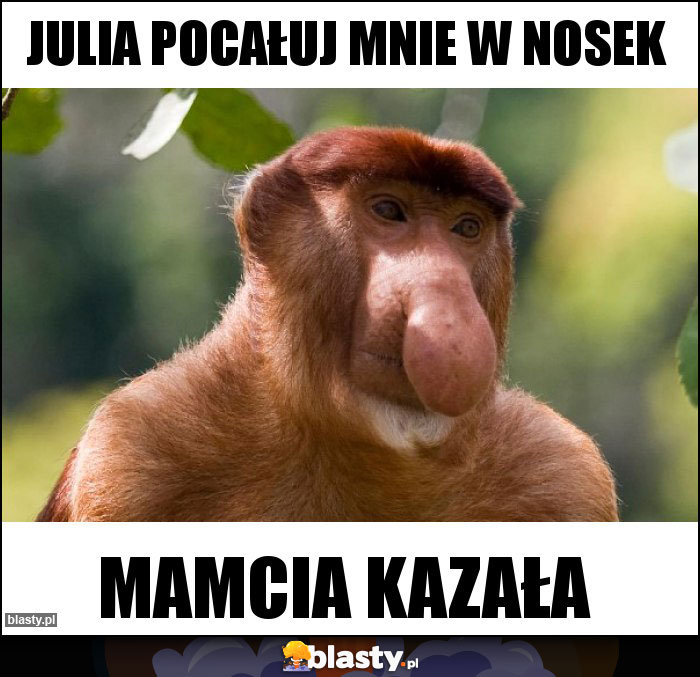 Julia pocałuj mnie w nosek