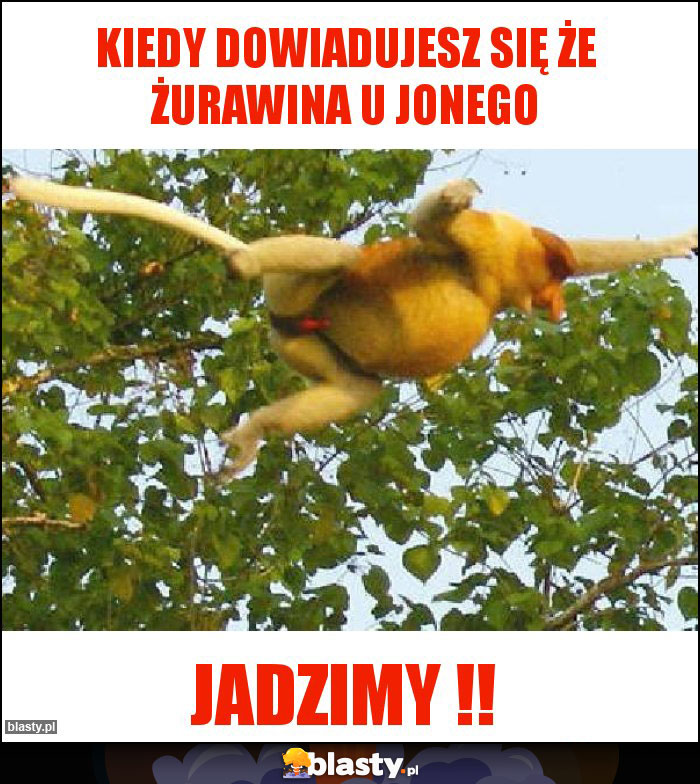 Kiedy dowiadujesz się że żurawina u jonego