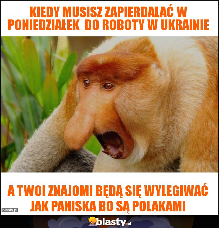 Kiedy musisz zapierdalać w poniedziałek  do roboty w Ukrainie