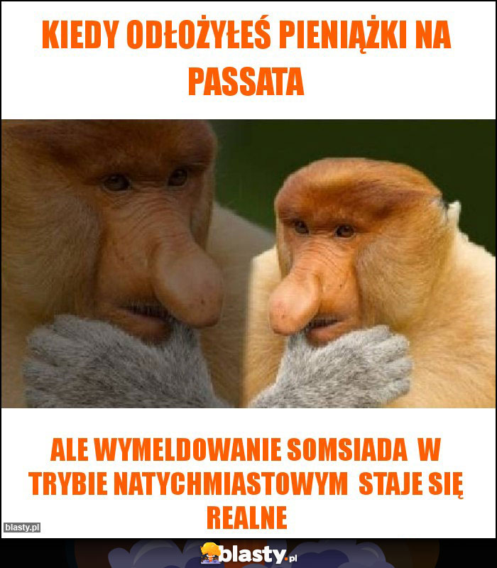 Kiedy odłożyłeś pieniążki na passata