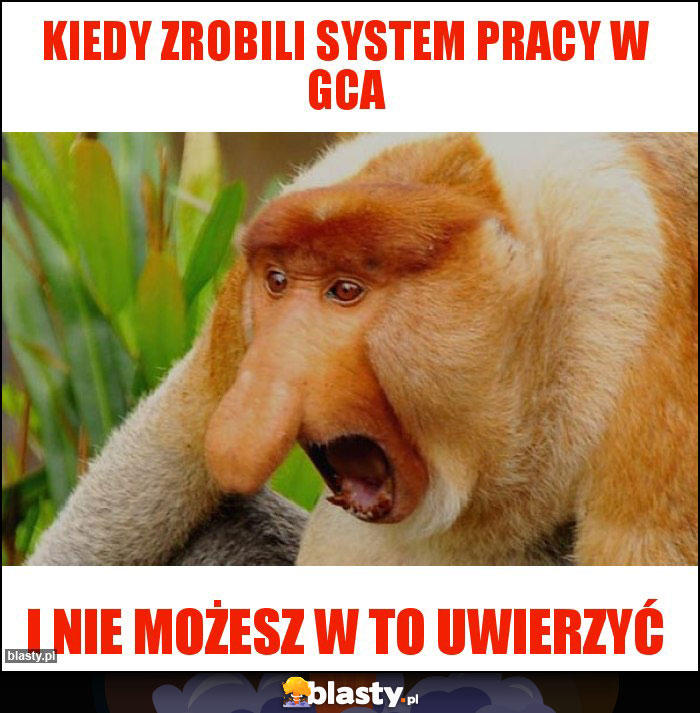 Kiedy zrobili system pracy w gca