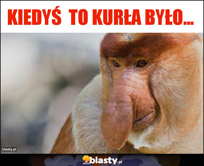 Kiedyś  to kurła było...