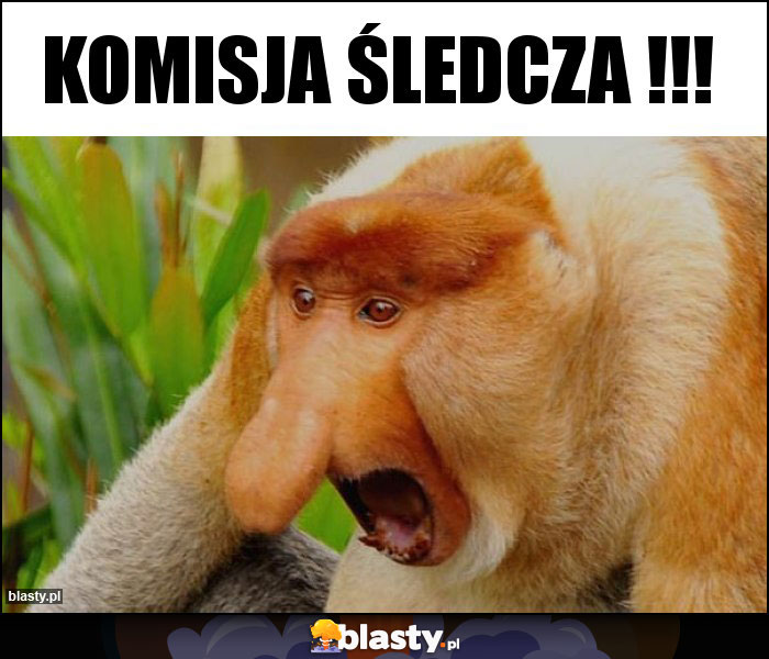 KOMISJA ŚLEDCZA !!!