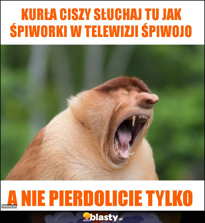 Kurła ciszy słuchaj tu jak śpiworki w telewizji śpiwojo
