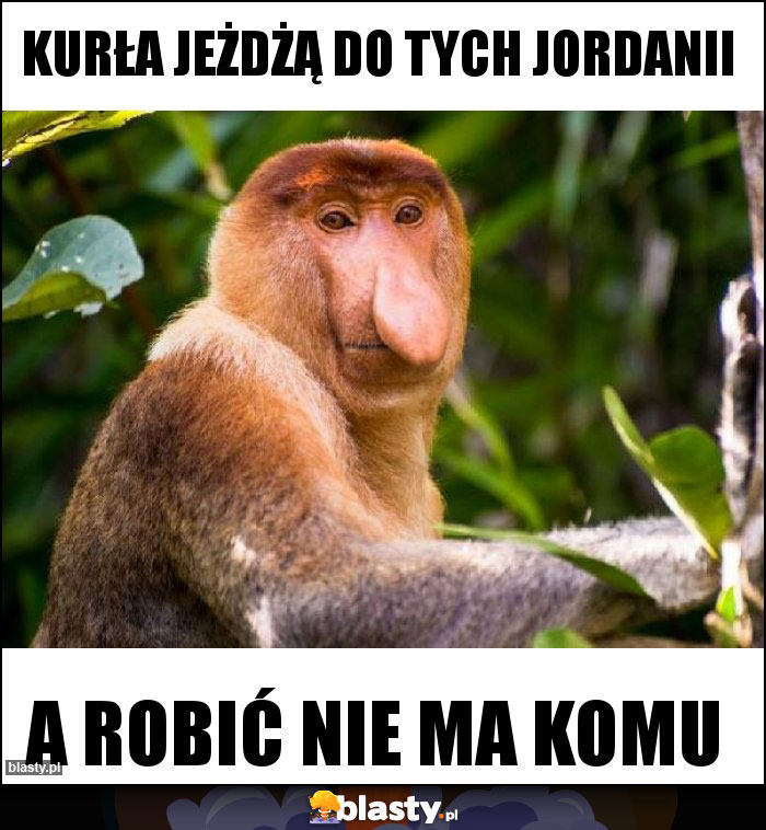 Kurła jeżdżą do tych Jordanii