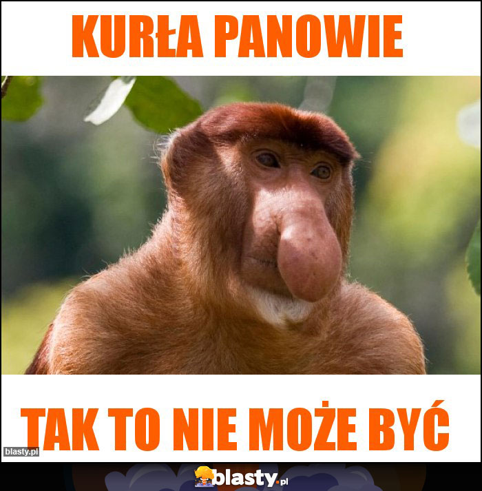 Kurła panowie